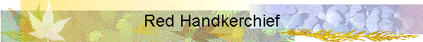 Red Handkerchief
