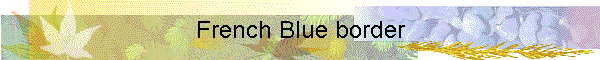 French Blue border